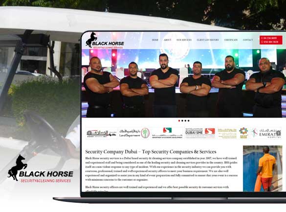 Black Horse Security